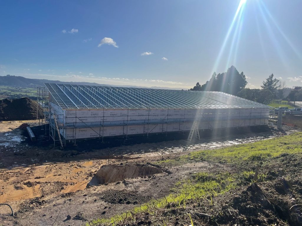 steel framing structure warehouse